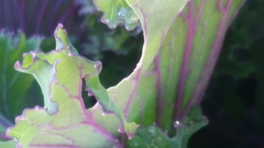 20151107_091511.jpg image